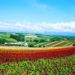 Meet your Posher, Jun